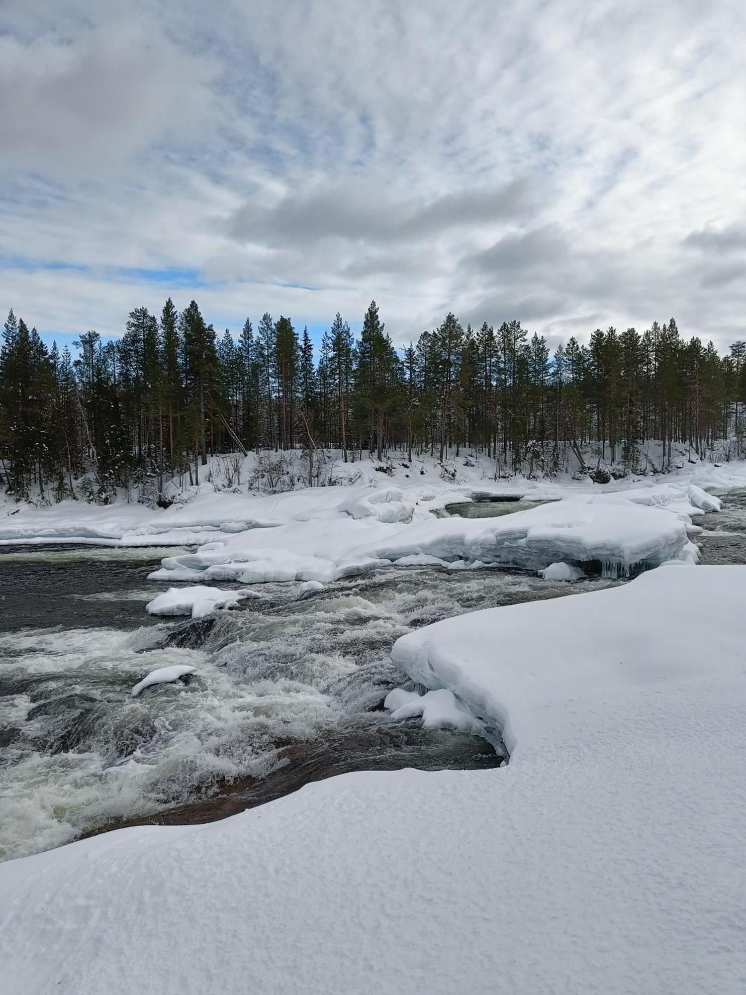 Гостевой дом Nordic Character Vidsel Экстерьер фото